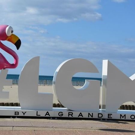 Superbe Studio Au Calme A 8Mn De La Plage La Grande-Motte Exterior foto